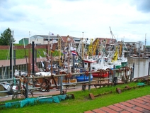 Fischerboote im Hafen von Ditzum
